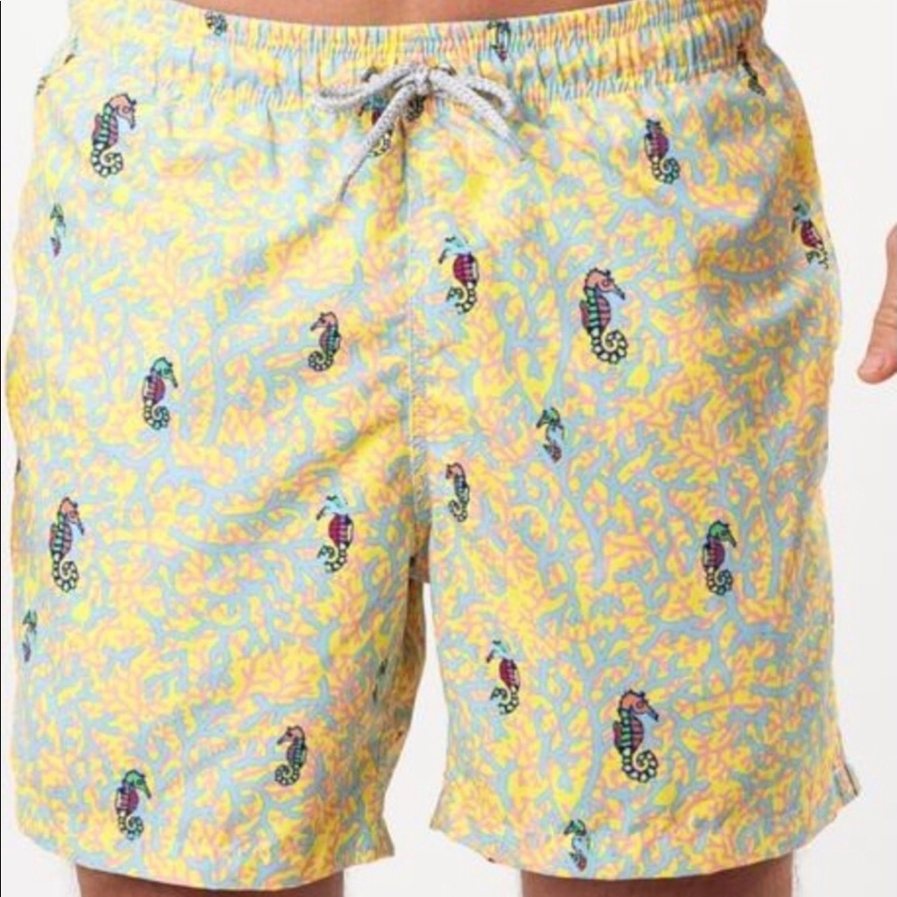 NWOT 🐠🐚Michael’s swimwear🐚 🐠